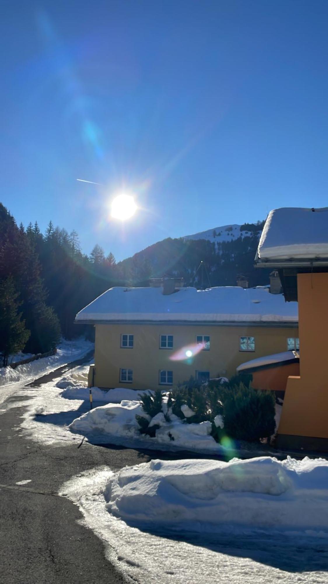 Schweizer Sennenhund Apartment *